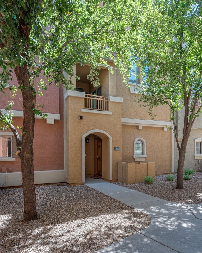 Building Photo - 240 W Juniper Ave