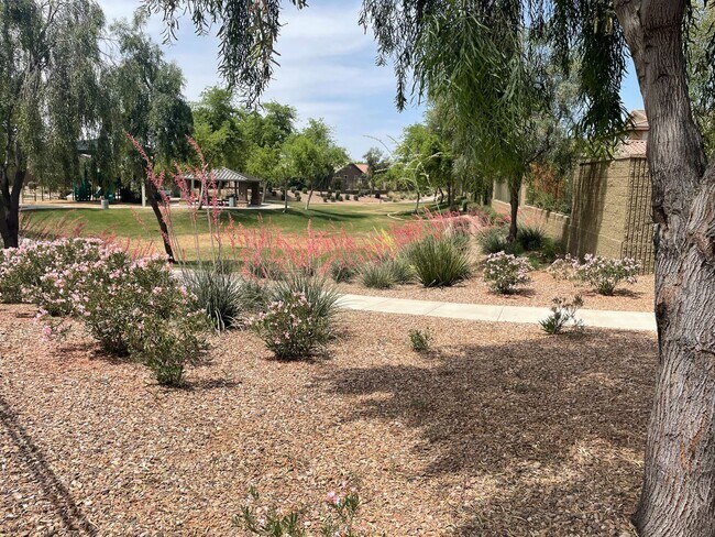 Building Photo - 5 Bedroom/3 Bath Home in Chandler!
