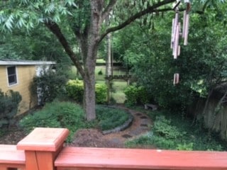 Yard View - 3613 Meadowbrook Ave