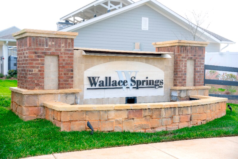 Building Photo - 217 Giant Oak Ave