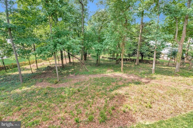 Building Photo - 4203 Pickering Pl