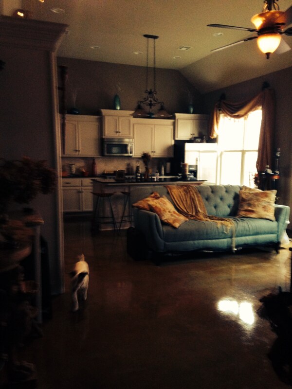 Primary Photo - 141 Treasure Cove