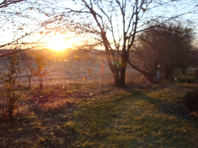 Building Photo - Nice Town Home in Bellevue!