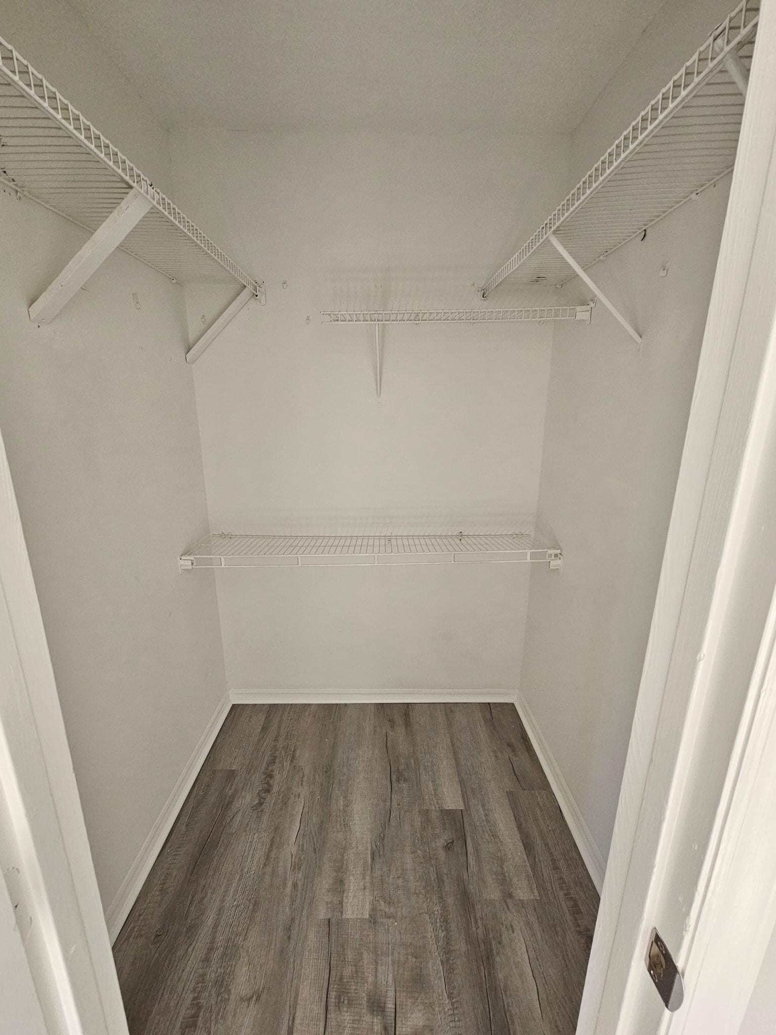 Building Photo - 5308 Wayne St