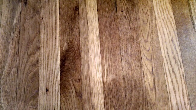 Building Photo - 2BR/1BA Condo Near UTK | Parking & Pool