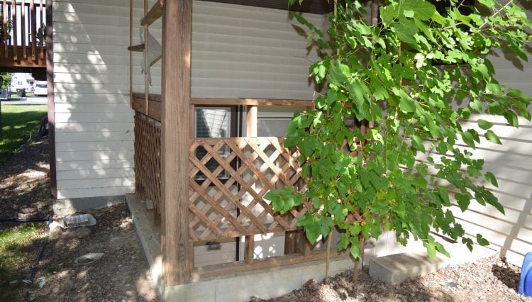 Building Photo - 548 Seminole Way