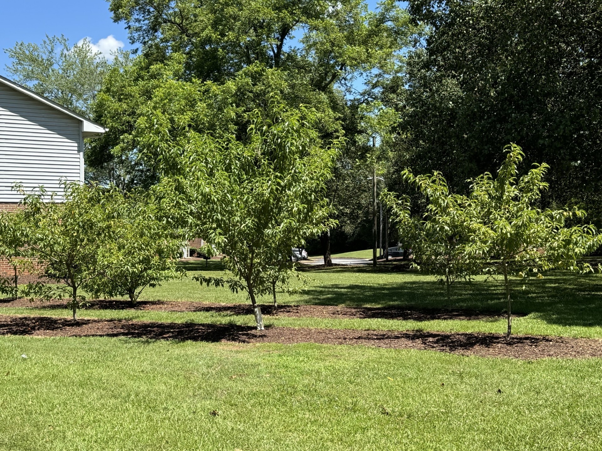 Building Photo - The Orchard Apartment Homes