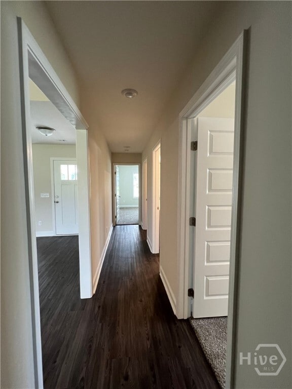 Building Photo - 403 Satilla Ct