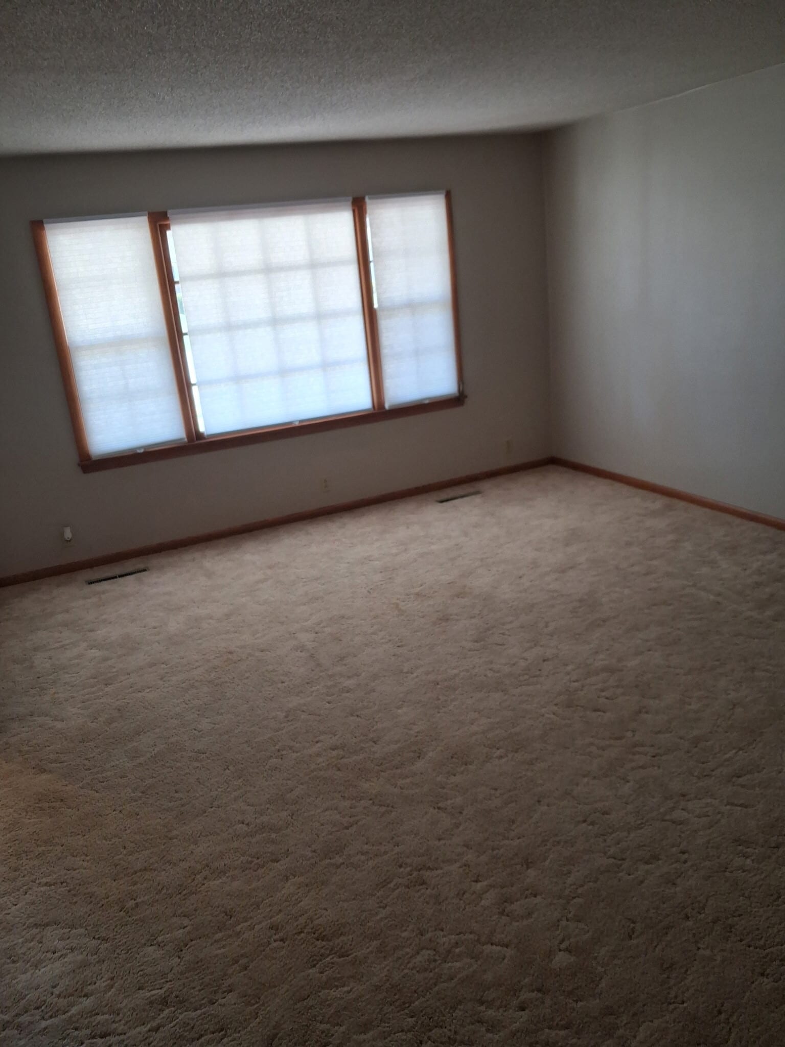 Living Room - 1462 Ranch Rd