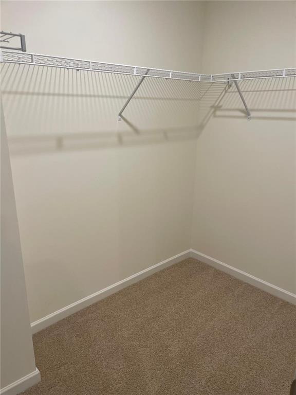 Building Photo - 1562 Gray Br Ct