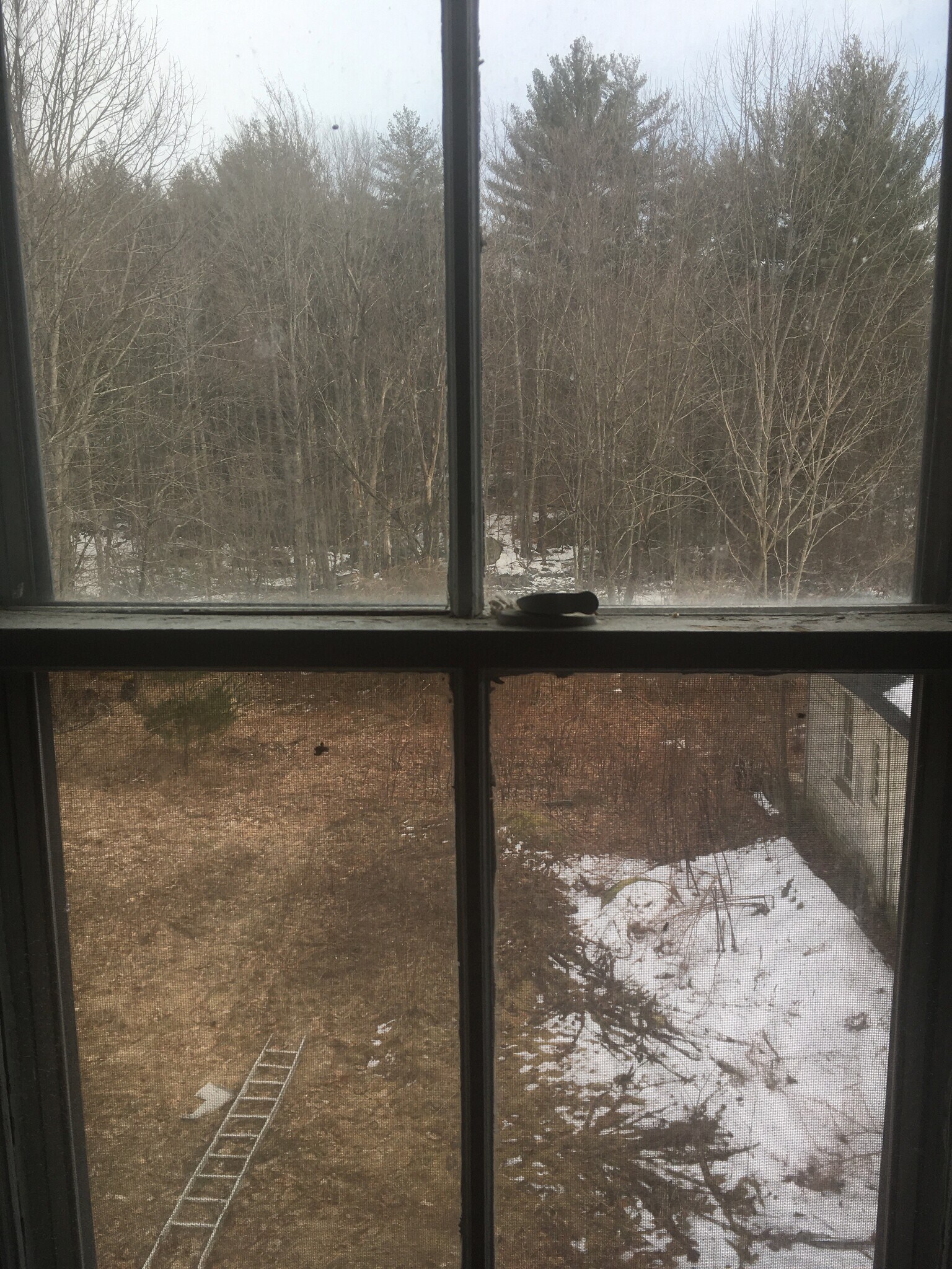 View of yard - 468 Union St
