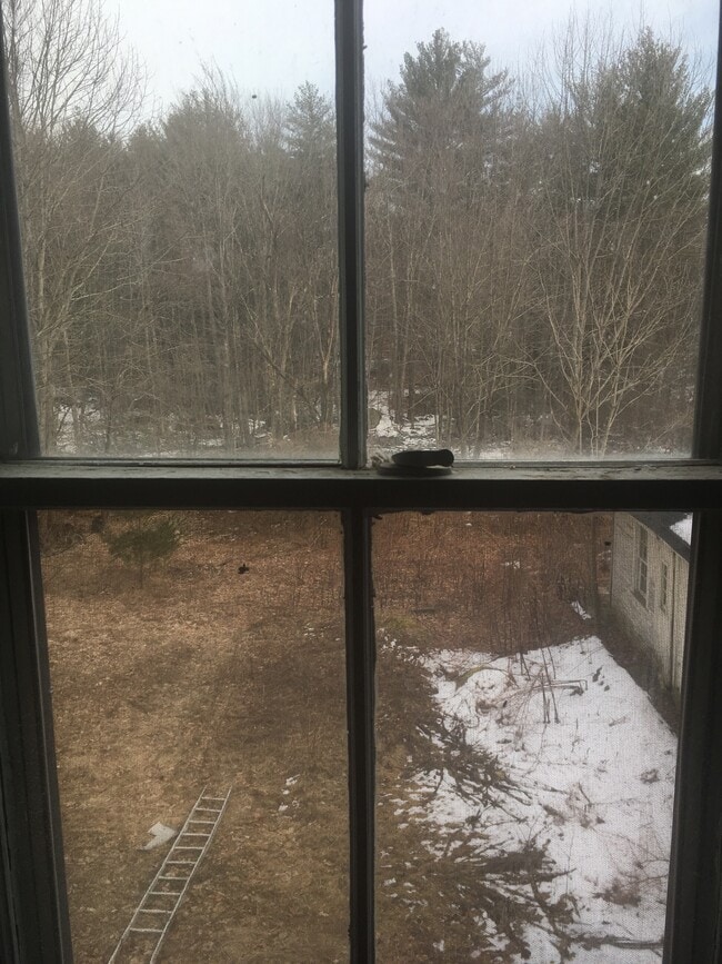 View of yard - 468 Union St