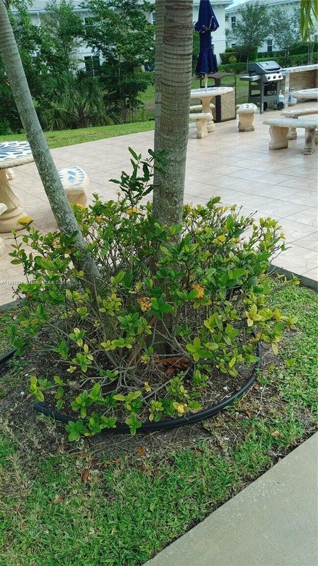 Building Photo - 3575 Brokenwoods Dr