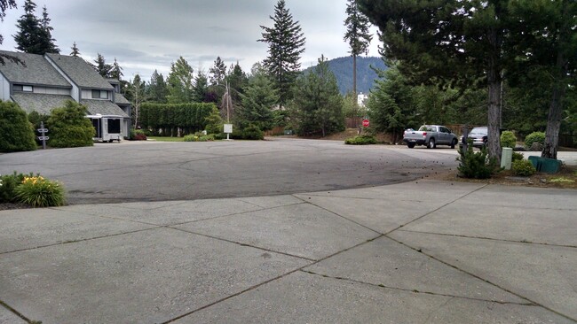 Building Photo - Large Furnished Townhome in Loch Haven Hills