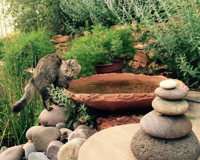 Building Photo - 63 Cibola Dr