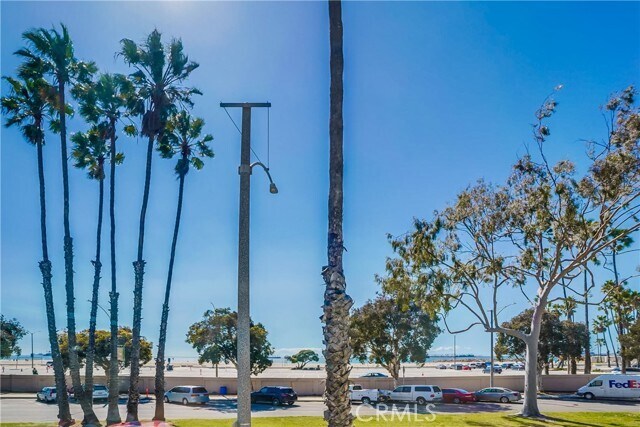 Building Photo - 4603 E Ocean Blvd