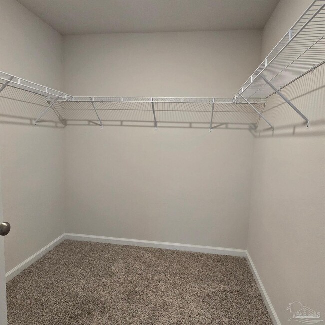 Building Photo - 4384 White Cedar Ct