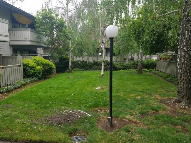 Building Photo - 1 Bed 1 Bath Condo In Walnut Creek