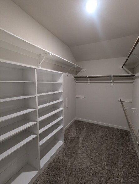 Building Photo - 4311 Maple Root Ln