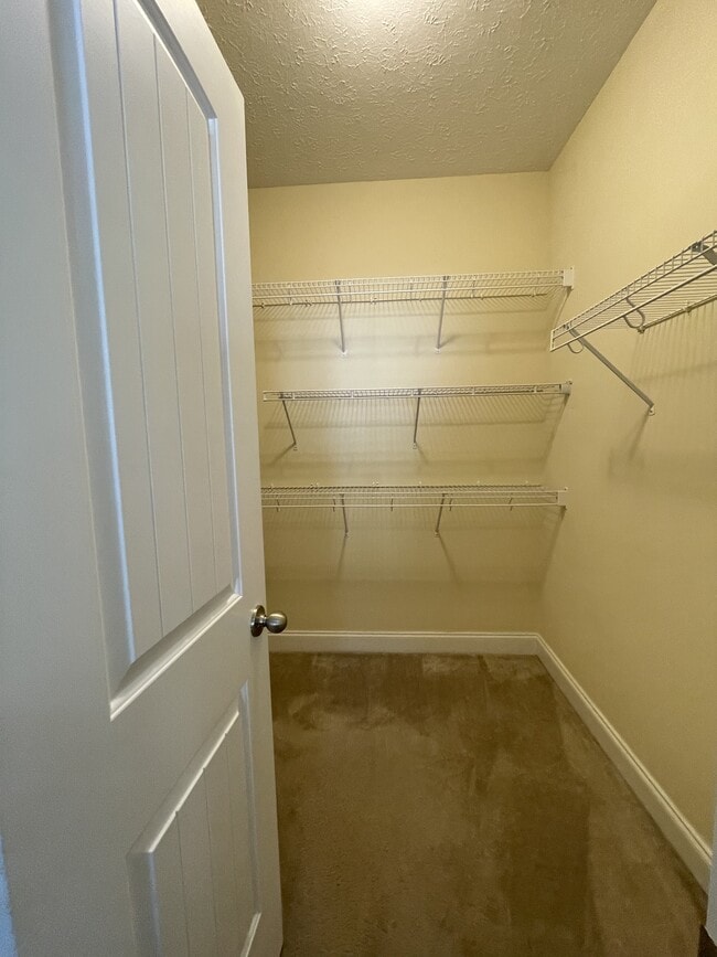 Building Photo - 509 Capstone Dr