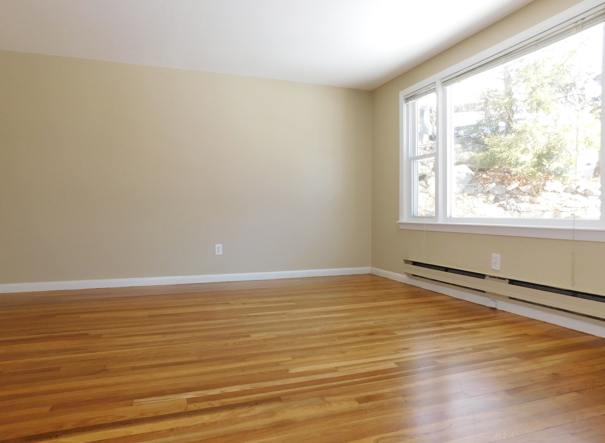 Building Photo - 26-28 Kiernan Rd