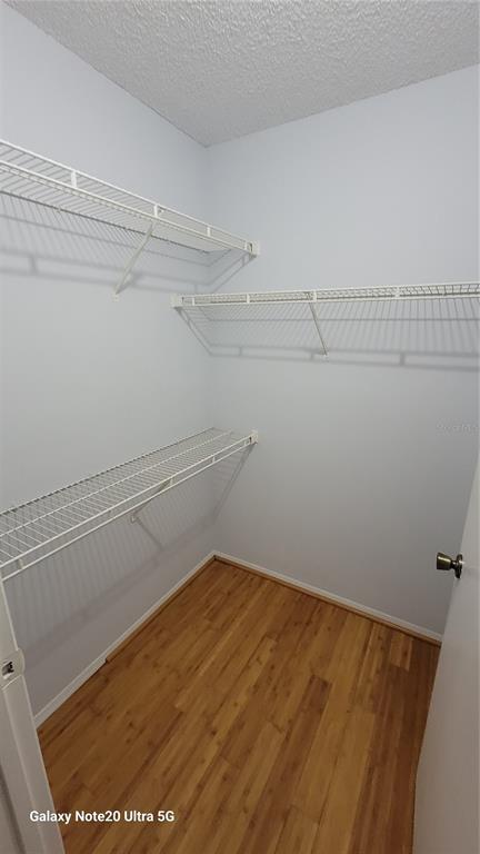 Building Photo - 4115 Chatham Oak Ct