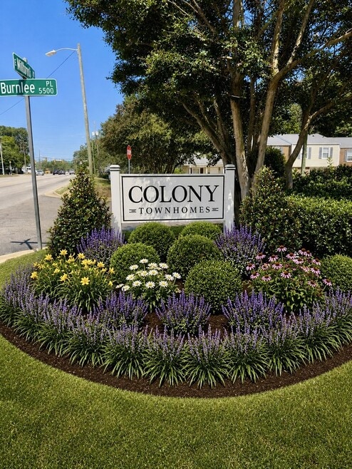 Building Photo - Colony Townhomes