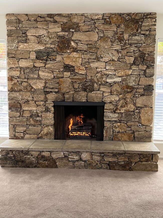 Building Photo - 37932 Mountain Shadow Ln