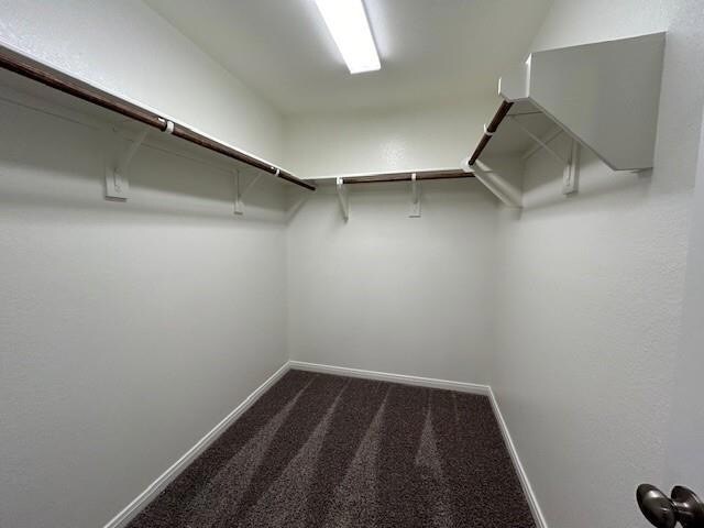 Building Photo - 4004 Centerfire Rd