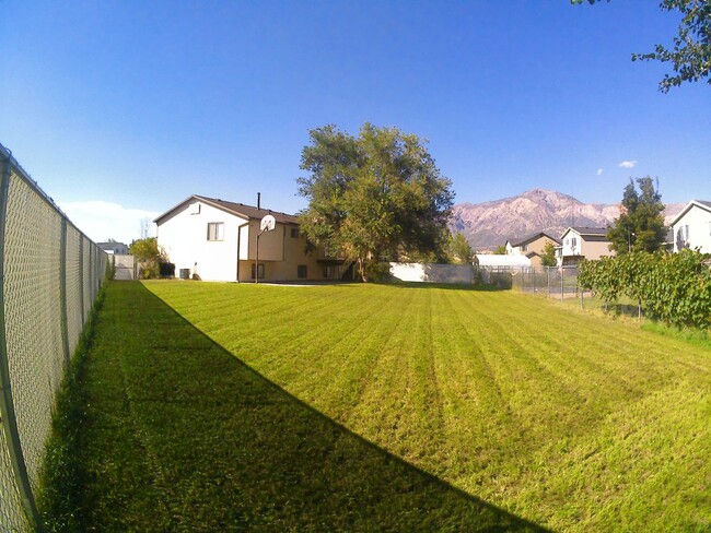 Building Photo - 4 Bedroom 2 Bath  Home 2 Car Garage. Dog F...