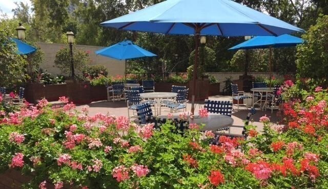 Garden Patio - 10535 Wilshire Blvd