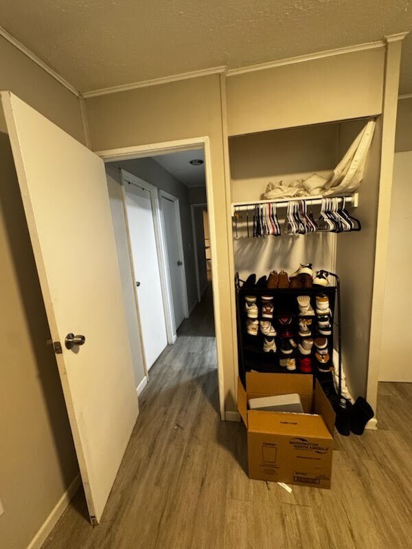 Front Bedroom - 103 Marchmont Dr