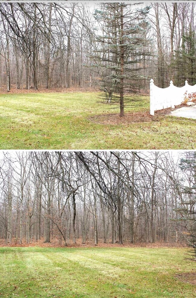 Building Photo - 15601 Bull Rapids Rd