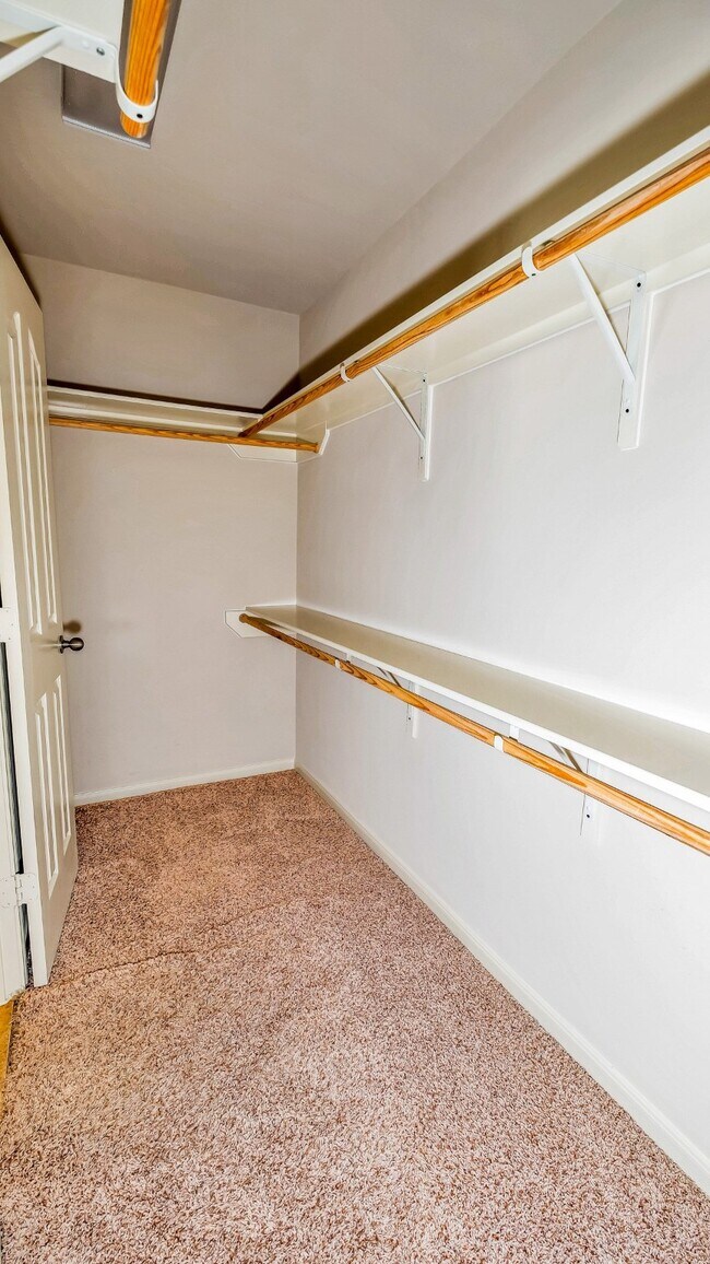 Building Photo - 1724 Don Alejandro