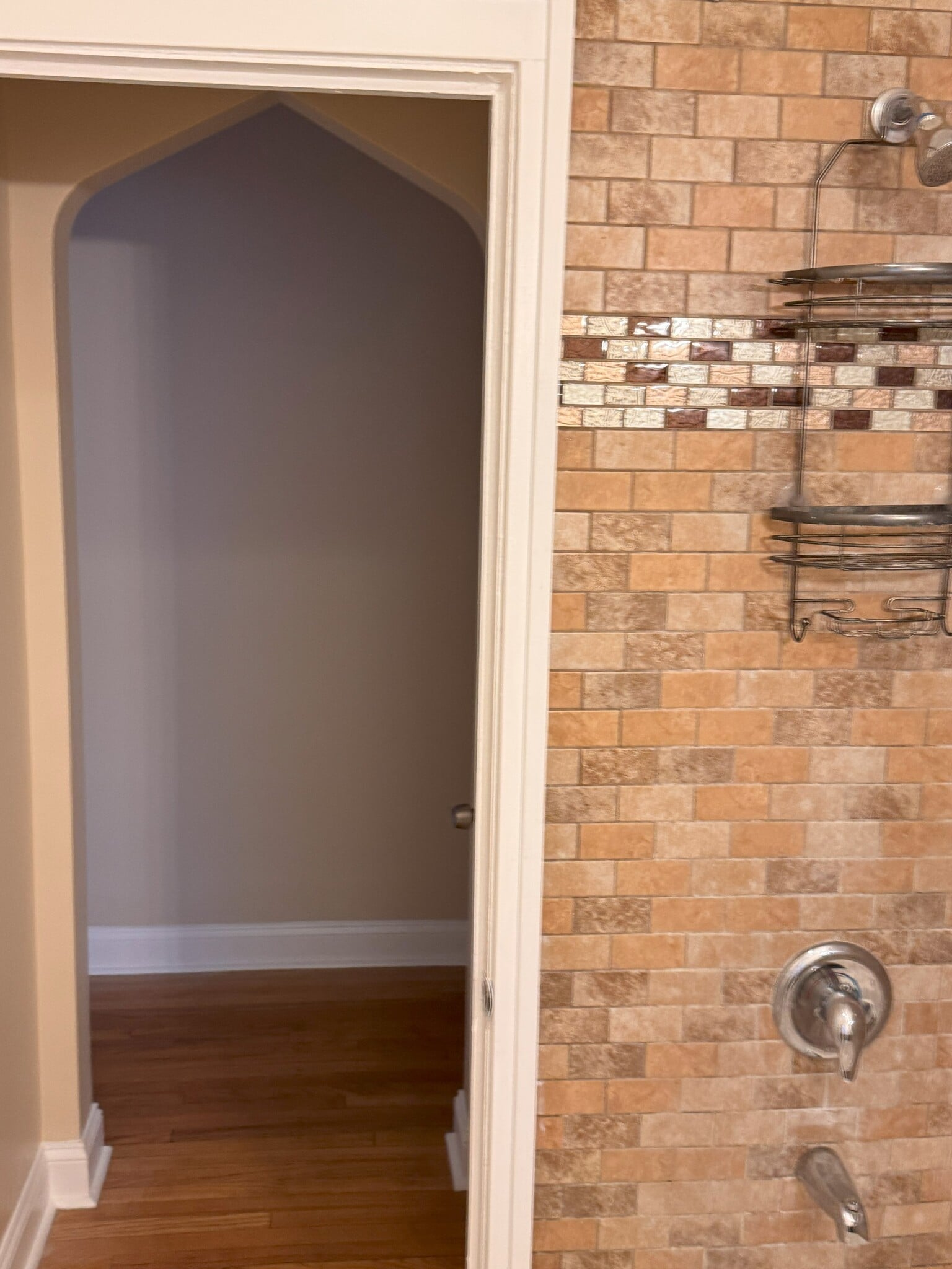 Bathroom Entry - 8138 S Saginaw Ave