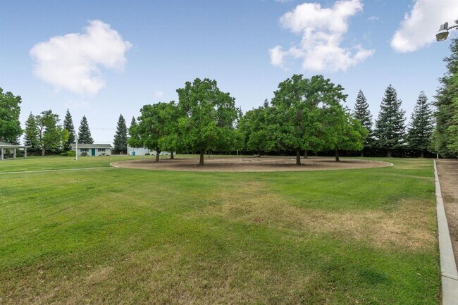 Building Photo - 4 Bedroom North Clovis Ranch on 3+ Acres