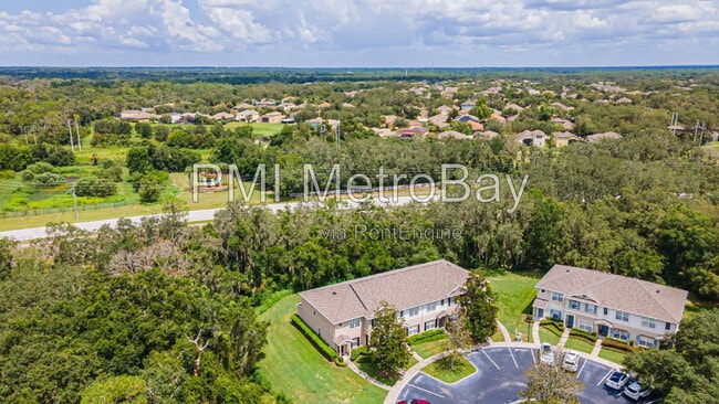 Building Photo - 15706 Fishhawk Falls Dr