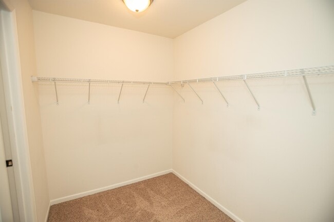 Building Photo - 3816 Riley Ct