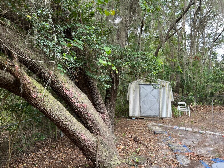 Shed - 110 Park St