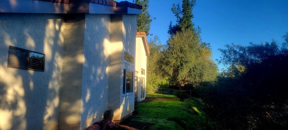 Large yard with mature trees including producing olive & lemon trees and tranquility - 16139 Ladera Piedra Way