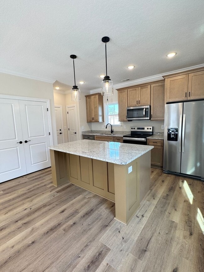 Building Photo - BEAUTIFUL BRAND NEW home!!! ??? 3 Bedrooms, 2.5 Baths with garage