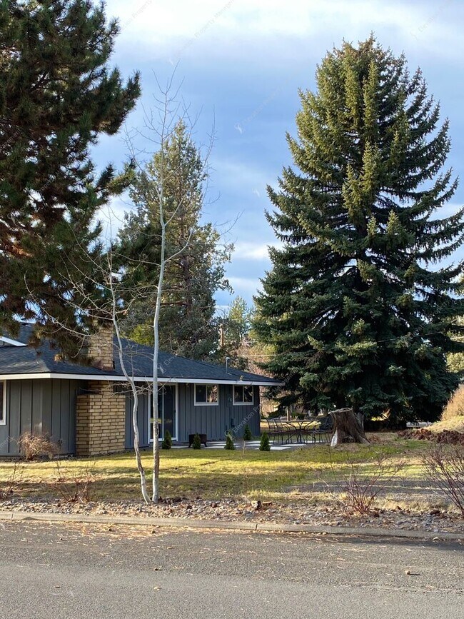 Building Photo - Mid-Century Modern Courtyard Gem in the Old Farm District