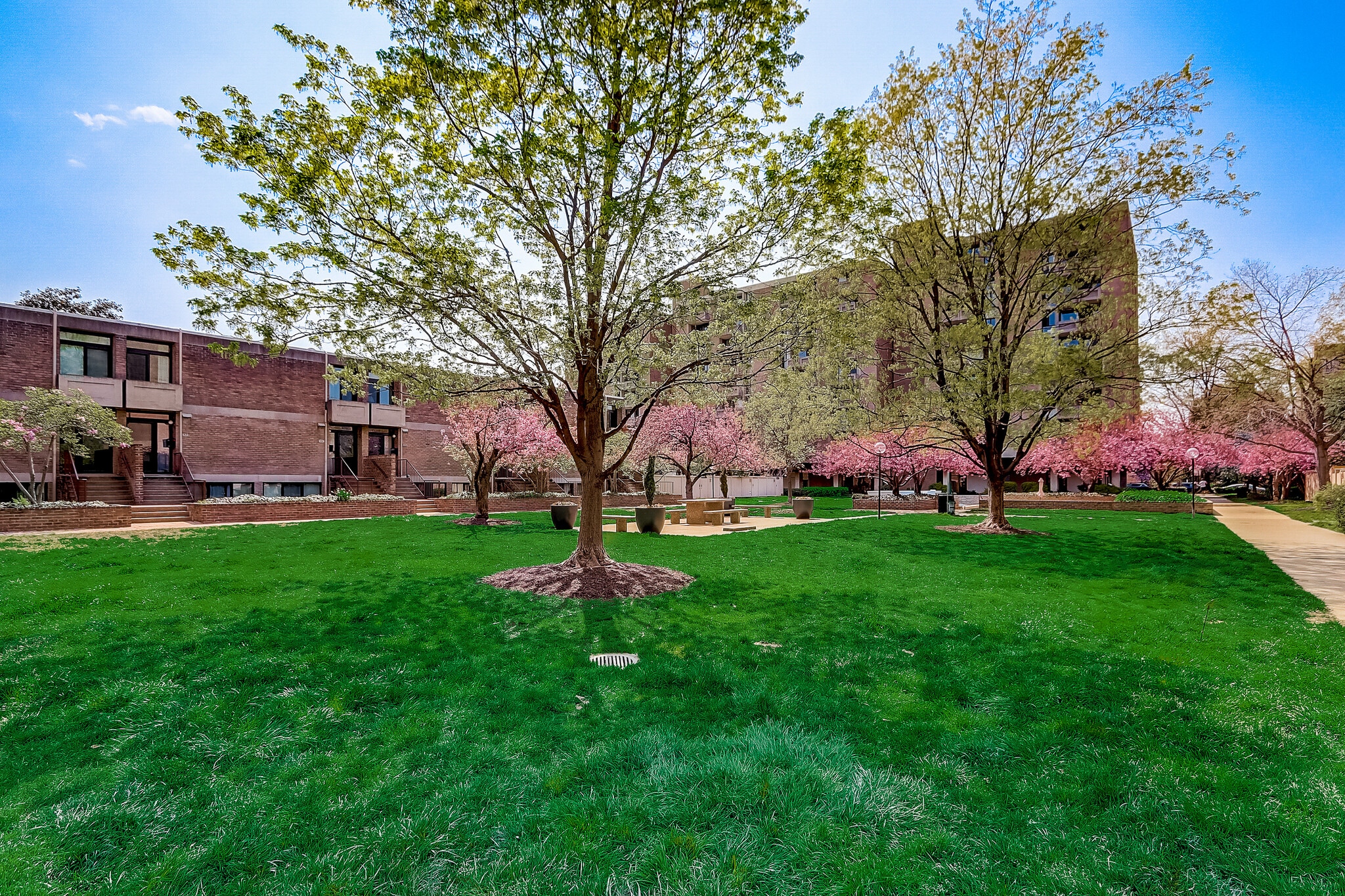 Gorgeous Garden Grounds - 240 M St SW