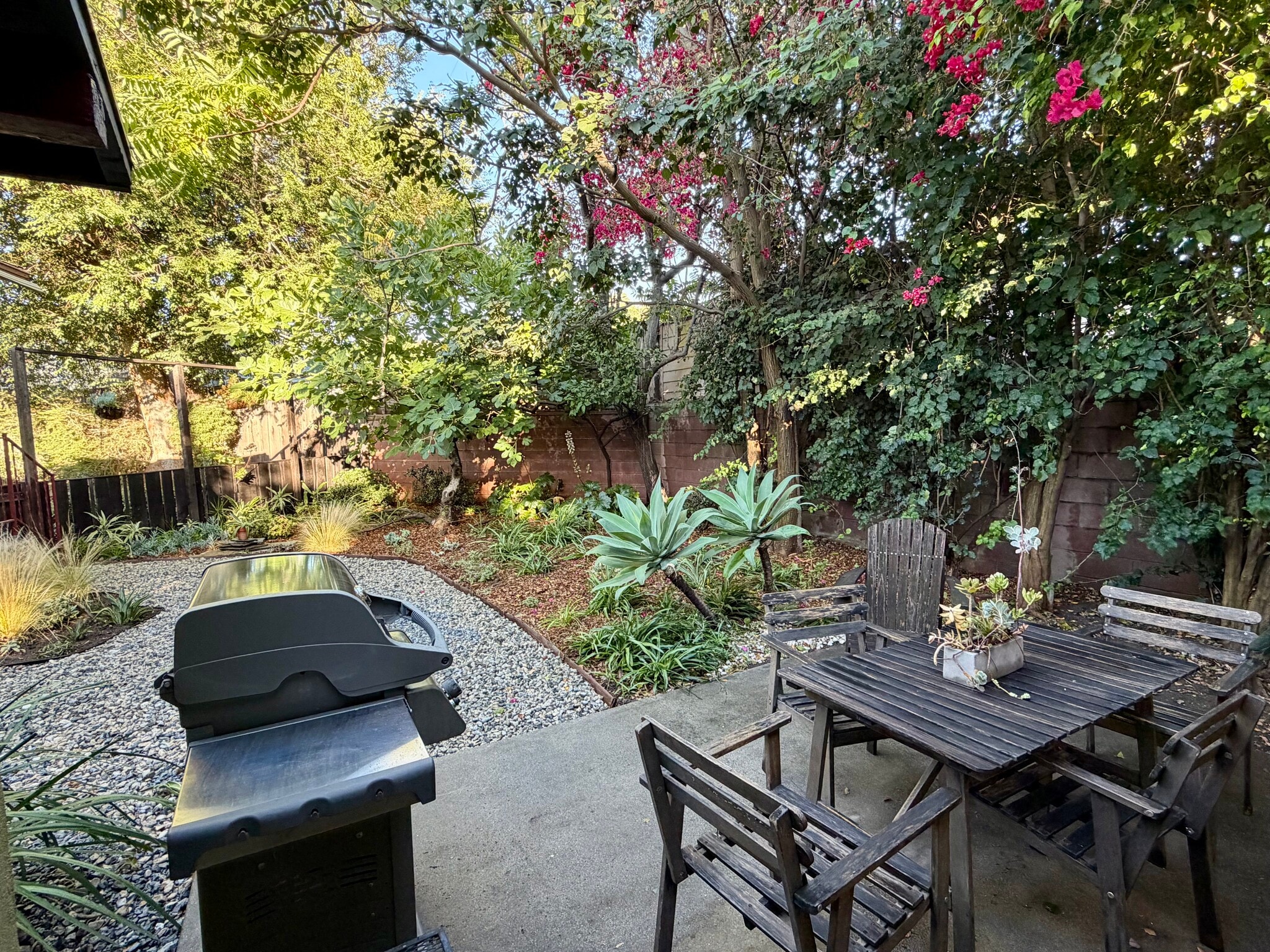 Mature trees - 2101 Laverna Ave