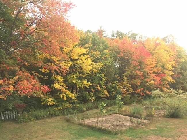 Building Photo - 27 Nesenkeag Dr