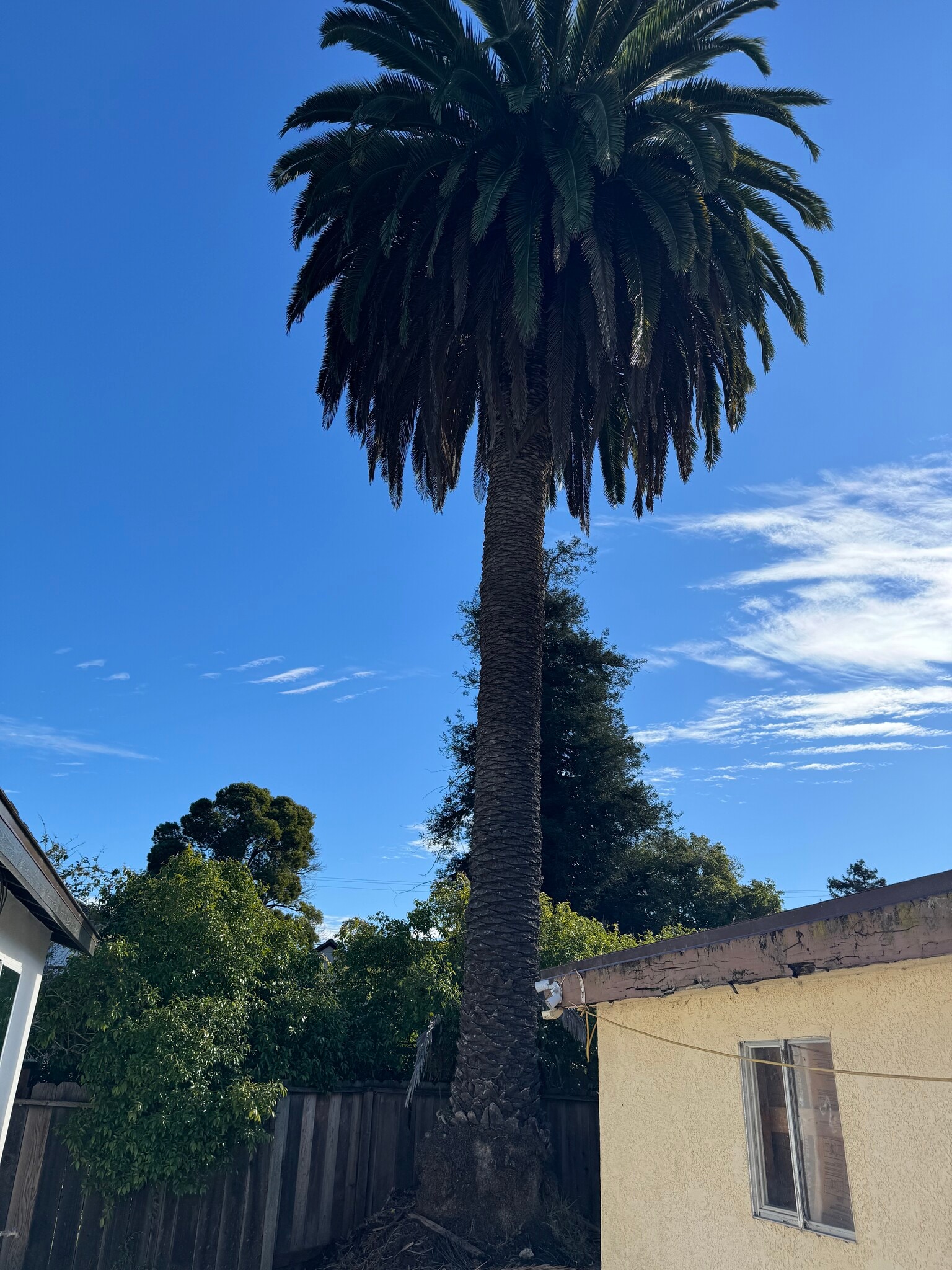 Building Photo - 376 Ramona Dr