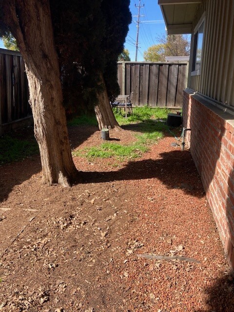 Spacious side yard - 3121 Alma St