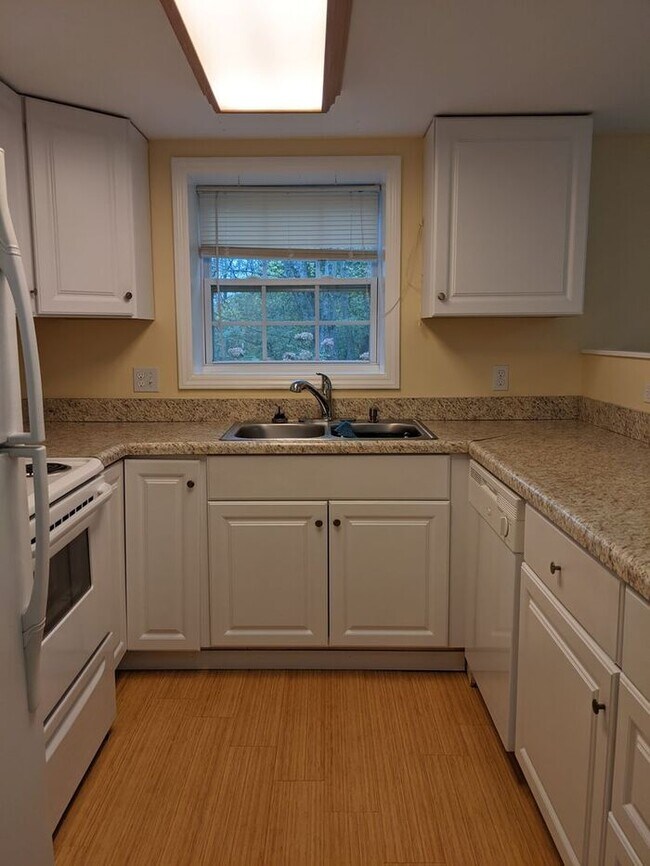 Building Photo - Charming West Asheville Basement Apartment