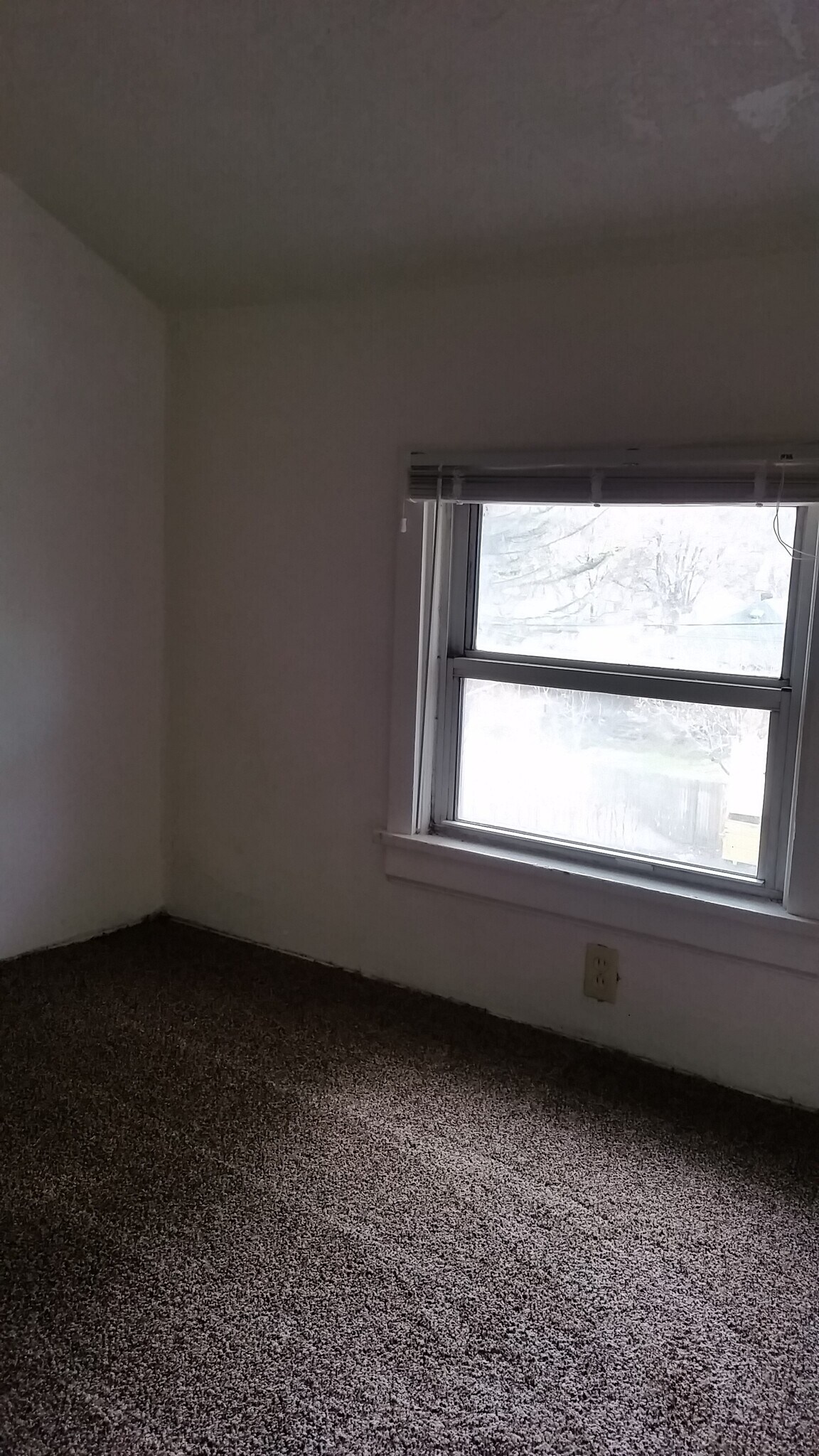 Building Photo - 310 6th St