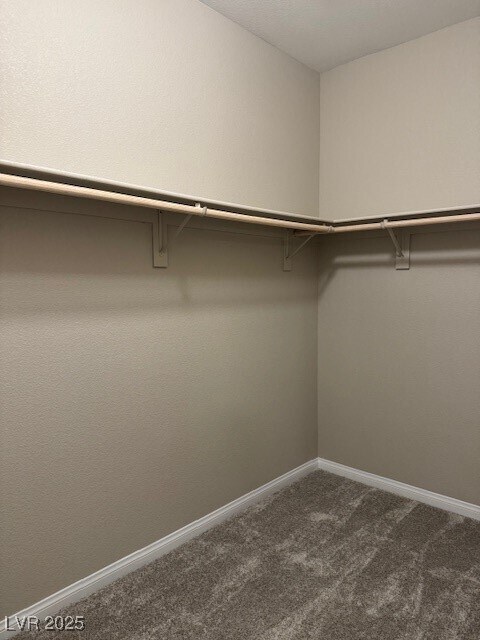 Building Photo - 534 Celebratory Pl